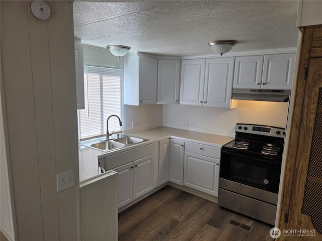 17925 Jordan St SW, Rochester, WA 98579 - kitchen with stainless steel electric stove, under cabinet range hood, a sink, dark wood-style floors, and light countertops