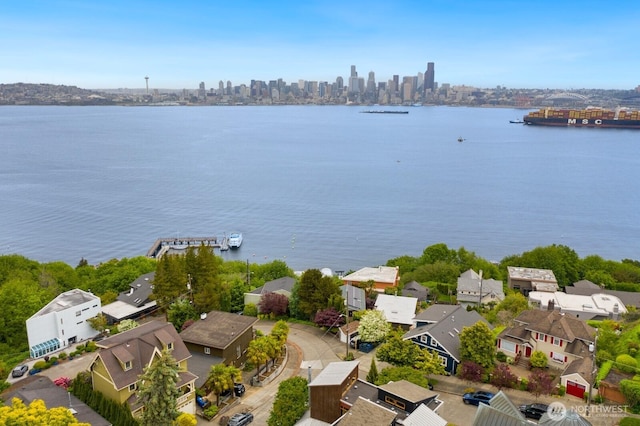 1712 Arch Ave SW, Seattle, WA 98116 - aerial view of a nearby body of water and a view of skyline