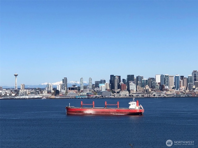 1712 Arch Ave SW, Seattle, WA 98116 - water view with a view of skyline