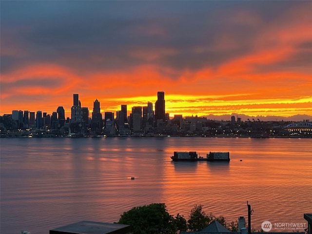 1712 Arch Ave SW, Seattle, WA 98116 - water view featuring a view of skyline