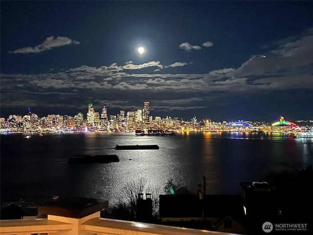 1712 Arch Ave SW, Seattle, WA 98116 - water view with a view of city lights