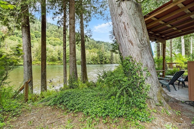 water view with a heavily wooded area