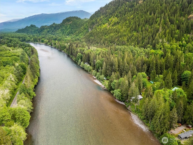aerial view of a forest and a water and mountain view