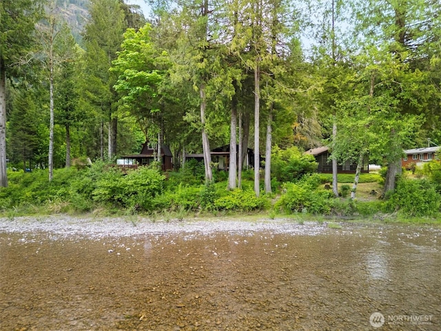 water view with a forest