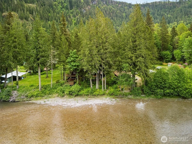 water view featuring a forest