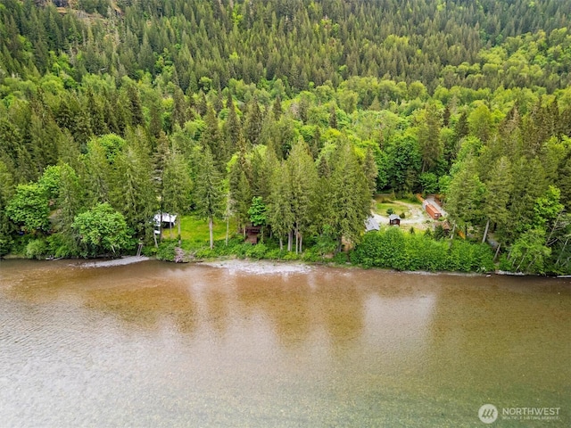 water view with a heavily wooded area