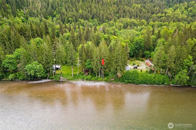 water view with a forest