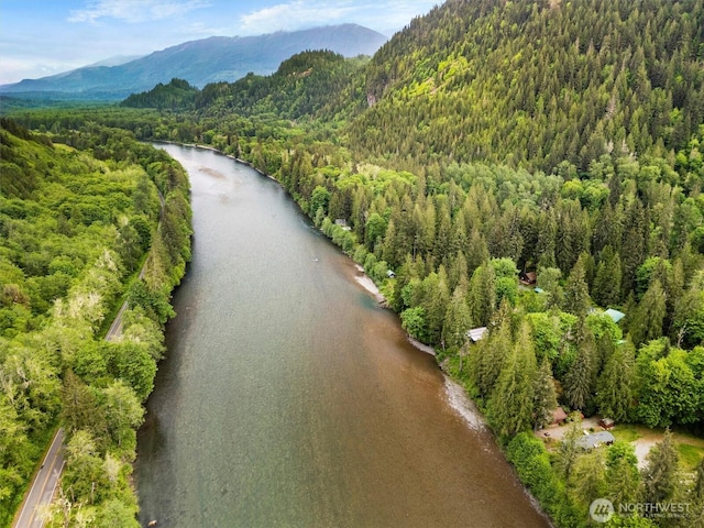 view of property's community with a view of trees and a water and mountain view