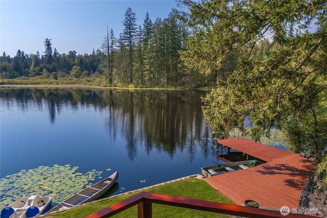 13901 Twin Lakes Dr E, Graham, WA 98338 - dock with a wooded view and a water view