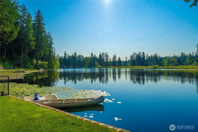 13901 Twin Lakes Dr E, Graham, WA 98338 - dock with a water view and a forest view