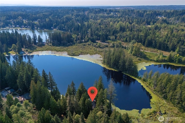 13901 Twin Lakes Dr E, Graham, WA 98338 - aerial view of property's location with a heavily wooded area and a large body of water