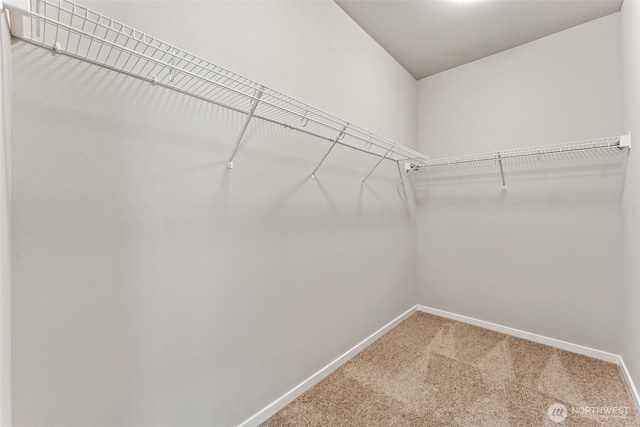11 E Compass Ln, Allyn, WA 98524 - walk in closet with carpet floors