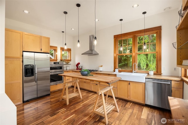 8285 NE Beck Rd, Bainbridge Island, WA 98110 - kitchen with appliances with stainless steel finishes, wall chimney exhaust hood, a sink, wood finished floors, and light brown cabinetry