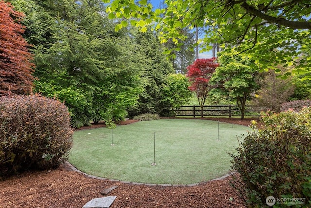 12916 318th Ave NE, Duvall, WA 98019 - surrounding community with an area to practice putting