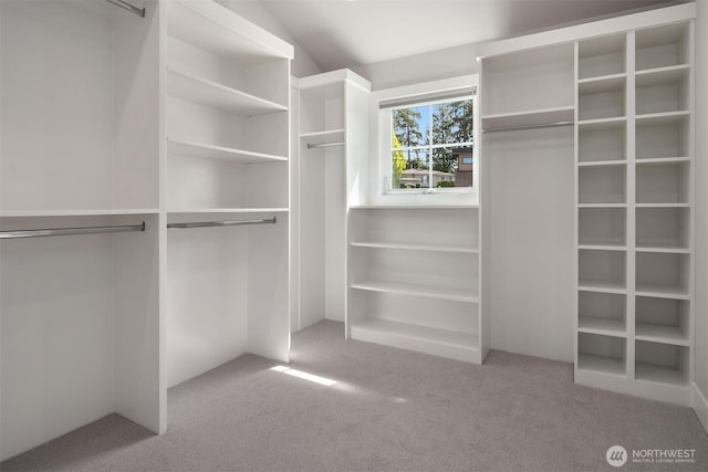 spacious closet featuring carpet flooring