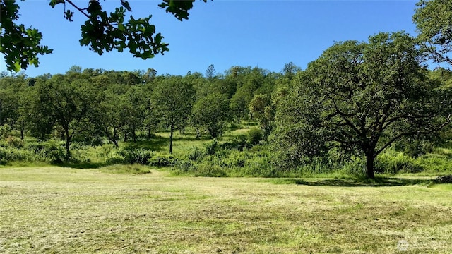 0 NE Edenbower Blvd Lot 2, Roseburg, OR 97470 - photo 9