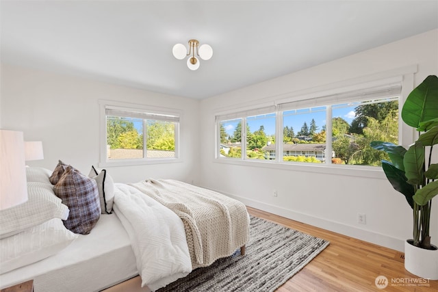 bedroom featuring multiple windows, baseboards, and wood finished floors
