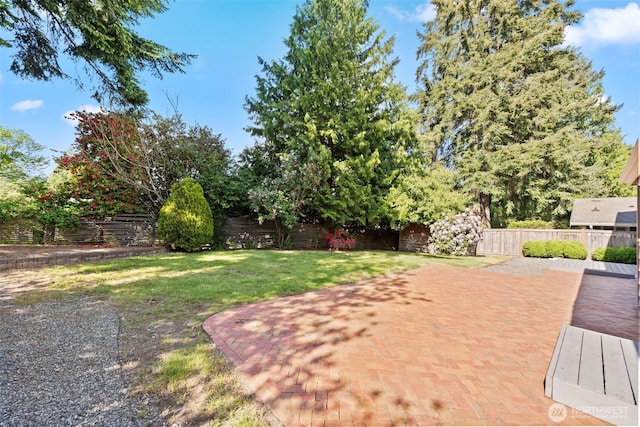 view of yard featuring a patio area