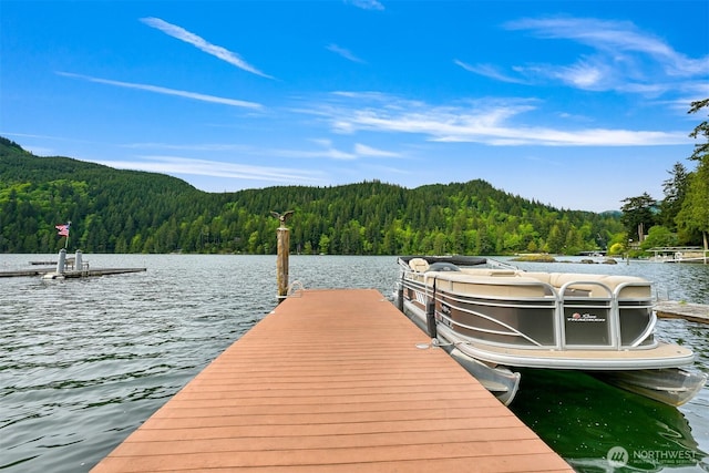 1414 Roy Rd, Bellingham, WA 98229 - dock area with a wooded view and a water view