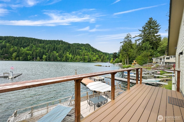 1414 Roy Rd, Bellingham, WA 98229 - dock with a forest view and a water view
