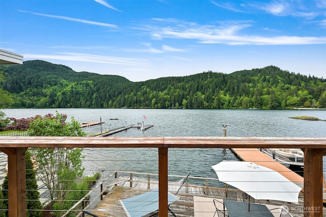 1414 Roy Rd, Bellingham, WA 98229 - dock with a wooded view and a water view