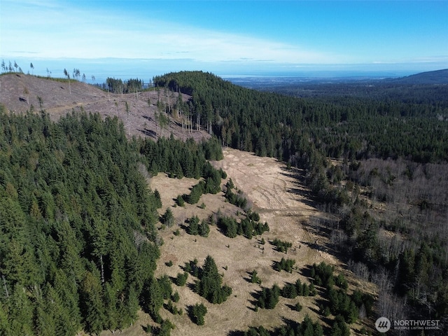 0NKA Deer Park Rd, Port Angeles, WA 98362 - photo 9