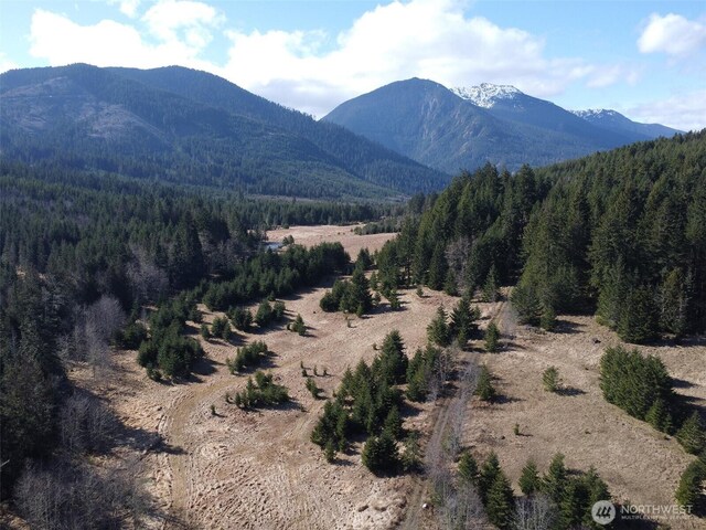 0NKA Deer Park Rd, Port Angeles, WA 98362 - photo 10