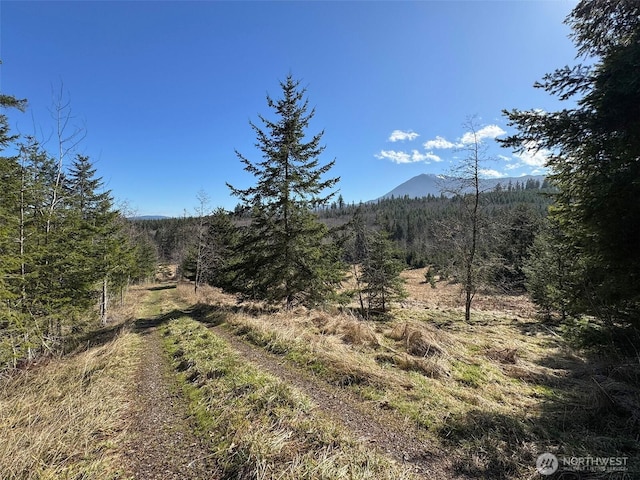 0NKA Deer Park Rd, Port Angeles, WA 98362 - photo 12