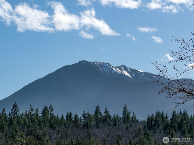 0NKA Deer Park Rd, Port Angeles, WA 98362 - photo 16