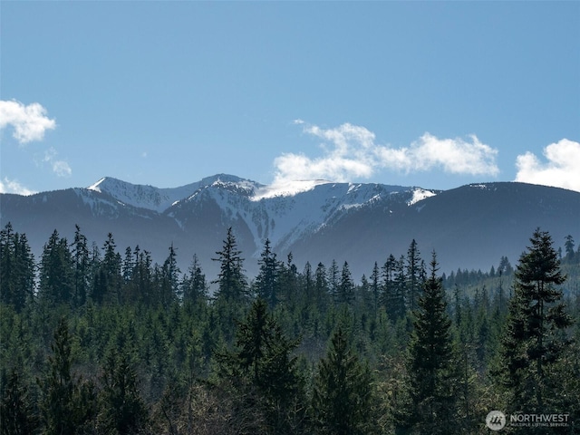 0NKA Deer Park Rd, Port Angeles, WA 98362 - photo 17