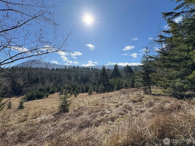 0NKA Deer Park Rd, Port Angeles, WA 98362 - photo 18