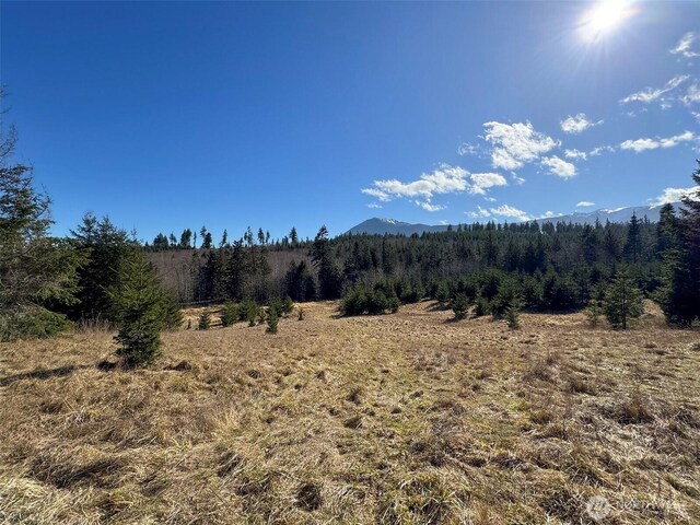 0NKA Deer Park Rd, Port Angeles, WA 98362 - photo 19