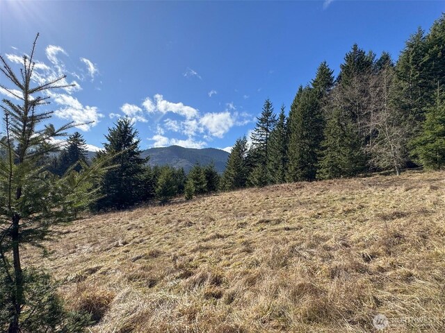 0NKA Deer Park Rd, Port Angeles, WA 98362 - photo 20