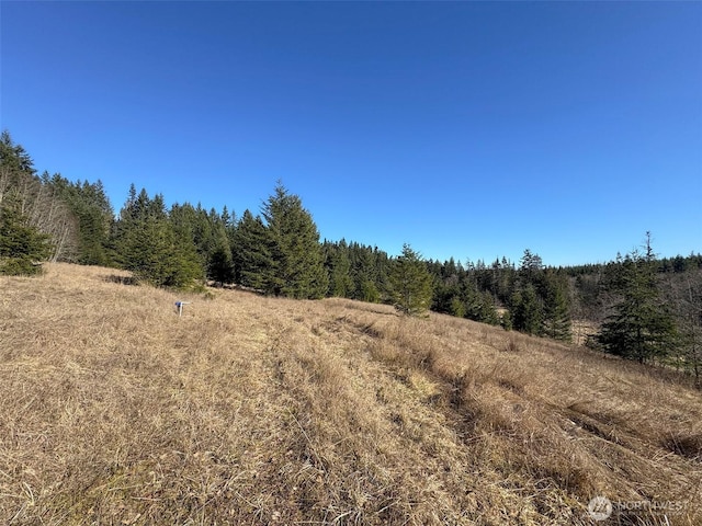 0NKA Deer Park Rd, Port Angeles, WA 98362 - photo 21