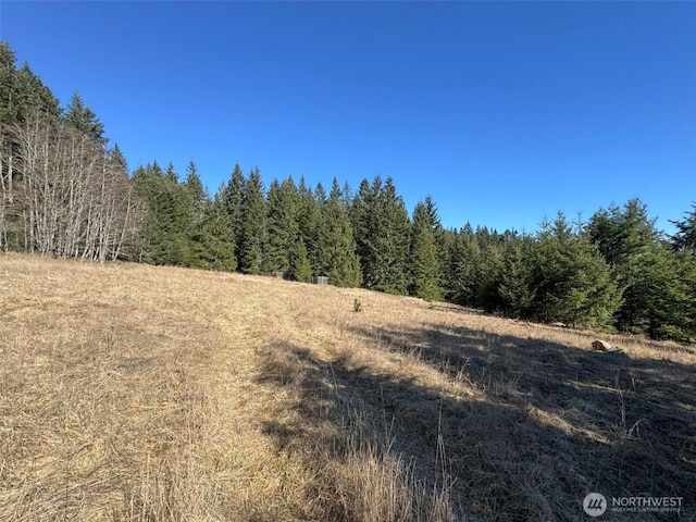 0NKA Deer Park Rd, Port Angeles, WA 98362 - photo 15