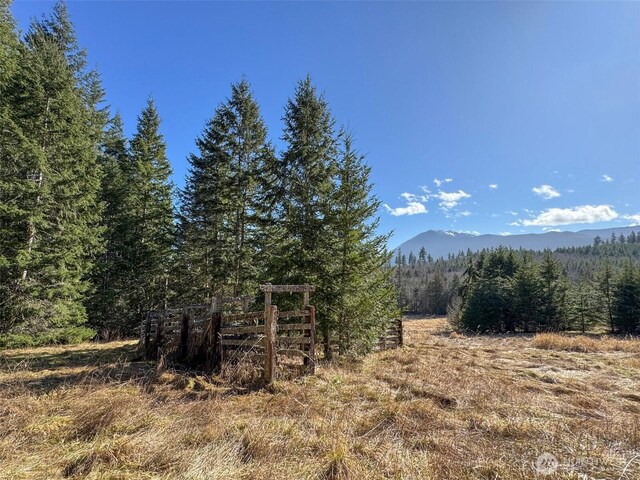 0NKA Deer Park Rd, Port Angeles, WA 98362 - photo 22