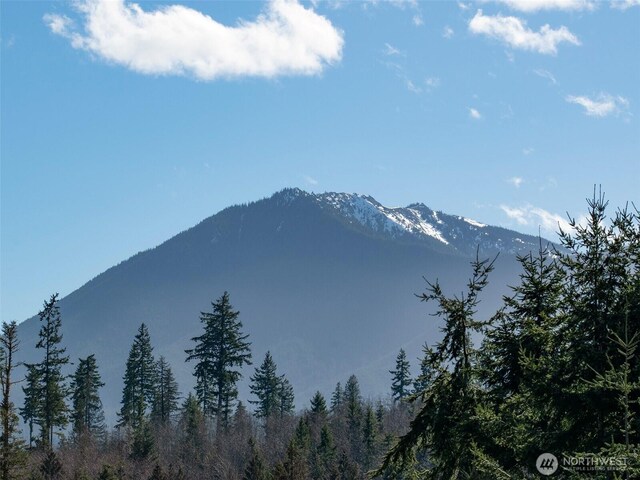 0NKA Deer Park Rd, Port Angeles, WA 98362 - photo 23
