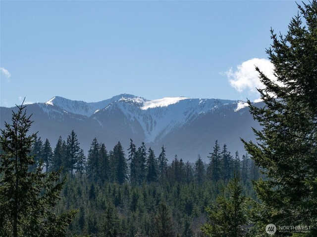 0NKA Deer Park Rd, Port Angeles, WA 98362 - photo 24