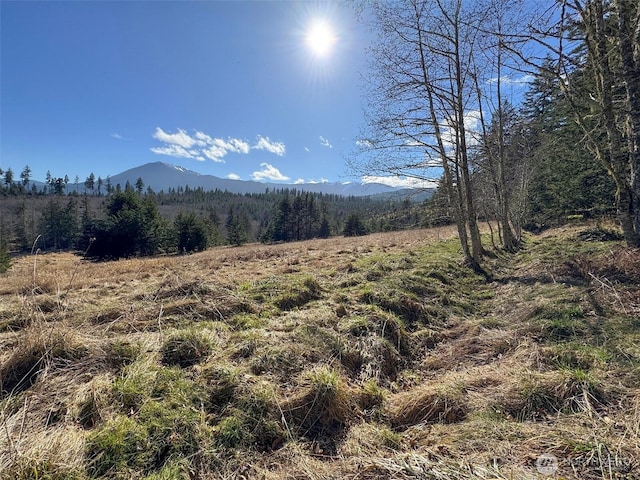 0NKA Deer Park Rd, Port Angeles, WA 98362 - photo 26