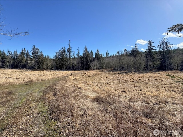 0NKA Deer Park Rd, Port Angeles, WA 98362 - photo 27