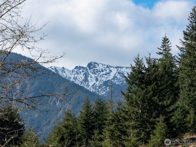 0NKA Deer Park Rd, Port Angeles, WA 98362 - photo 29