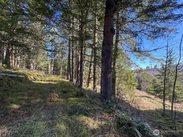 0NKA Deer Park Rd, Port Angeles, WA 98362 - photo 30