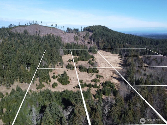 0NKA Deer Park Rd, Port Angeles, WA 98362 - photo 7