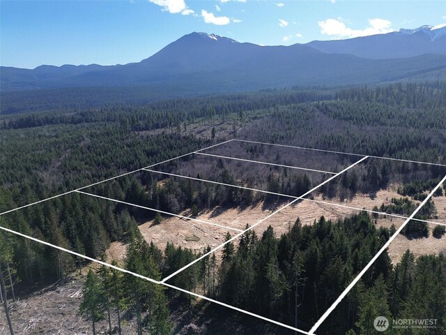 0NKA Deer Park Rd, Port Angeles, WA 98362 - photo 8