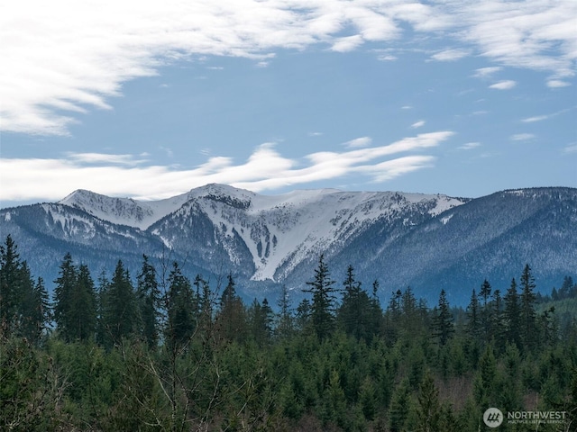 0NKA Deer Park Rd, Port Angeles, WA 98362 - photo 1
