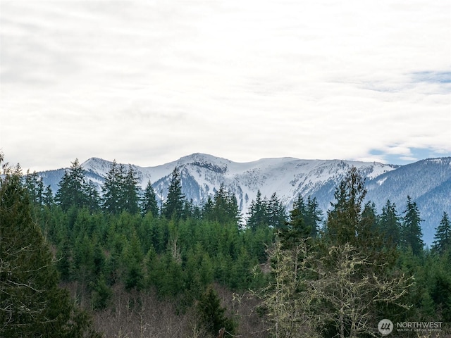 0NKA Deer Park Rd, Port Angeles, WA 98362 - photo 32