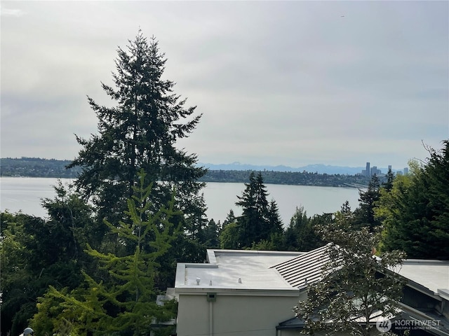 6950 SE Maker St, Mercer Island, WA 98040 - water view