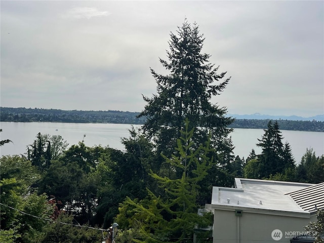 6950 SE Maker St, Mercer Island, WA 98040 - water view