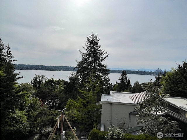 6950 SE Maker St, Mercer Island, WA 98040 - water view