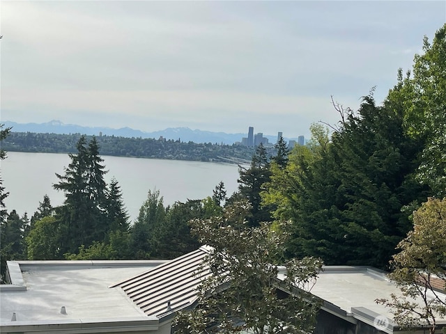 6950 SE Maker St, Mercer Island, WA 98040 - water view